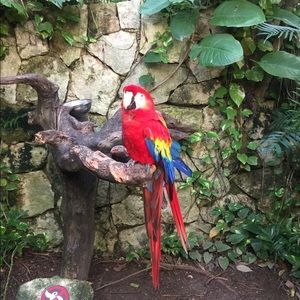 Meet your Posher, Vanessa